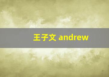 王子文 andrew